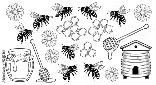 Black and white illustration of bees honeycomb flowers and honey jar
