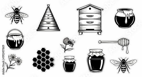 Black and white illustration of bees honeycombs and honey pots on white background