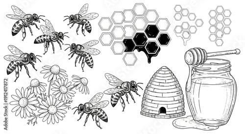 Black and white illustration of bees honeycombs beehive and honey jar