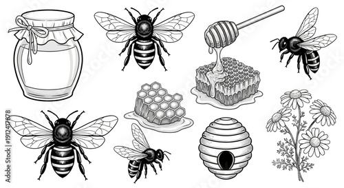 Black and white illustration of bees honeycombs honey jar and chamomile flowers