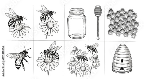 Black and white illustrations of bees flowers jar honey dipper and beehive