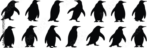 Black penguin silhouettes collection in various poses, animal icons set for wildlife design, vector illustration isolated background