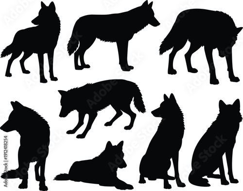 Black wolf silhouettes in multiple poses, standing, walking, sitting, lying down, isolated animal shapes for design, illustration, reference