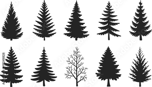 Silhouette collection of diverse tree shapes, coniferous and deciduous, forest design elements, natural illustration for creative projects