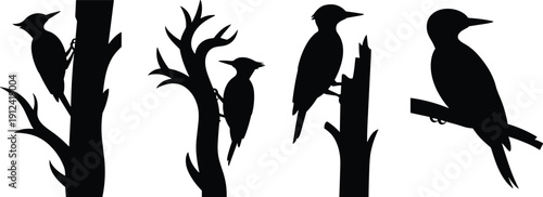 Silhouette woodpeckers perched on tree trunks, wildlife bird illustration, avian species diversity, nature design, forest habitat artwork