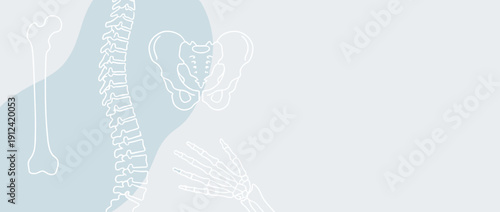 Minimalist Orthopedic Medical Banner Illustration with White Outlines of Human Spine, Pelvis, Femur, and Hand Bones on a Soft Blue Background with Copy Space for Healthcare and Anatomy Design