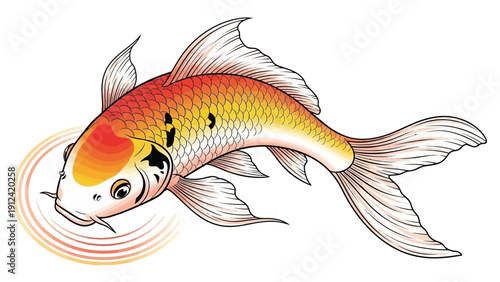 Vibrant koi fish illustration on white background vector art
