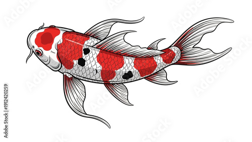 Vibrant koi fish illustration on white background for decorative designs
