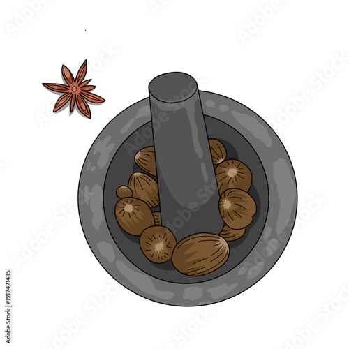an illustration of a traditional stone mortar with nuts and an star anise. Spices illutration