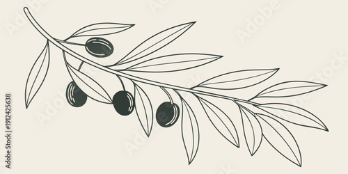 A detailed illustration of a branch with olives and leaves
