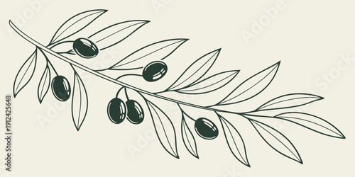 A detailed illustration of an olive branch with ripe olives.