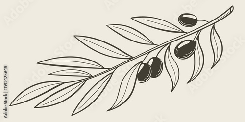 A detailed illustration of an olive branch with ripe olives.
