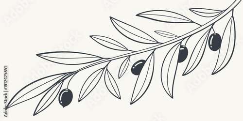 A detailed illustration of an olive branch with ripe olives attached.
