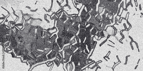 Intricate monochrome abstract pattern with interconnected dark lines and organic shapes against a speckled light background, suggesting cellular or network structures