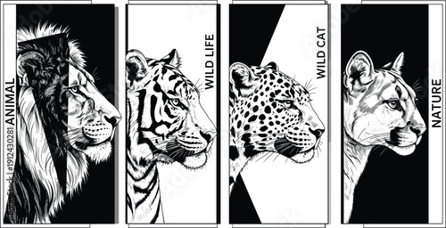 Black-and-white wild cat illustration set featuring lion, tiger, leopard, and cougar portraits with bold vertical text, ideal for wildlife art and nature design.