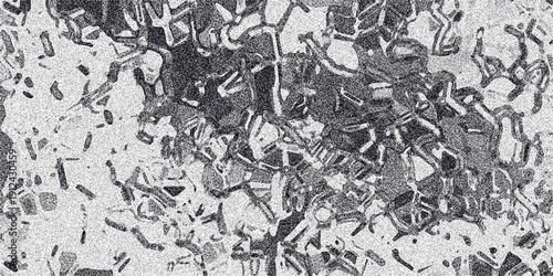 Abstract grayscale textured background with intricate geometric cellular patterns and fine grain noise, suggesting a microscopic view of cells or crystalline structures, ideal for science