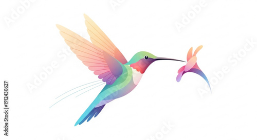 Two colorful hummingbirds flying in mid air with vibrant feathers and long beaks