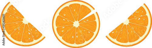 Vibrant Orange Fruit Wedges and Round Cross Sections Vector Illustration