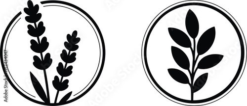 Black botanical plant logo icons in circular frames isolated on white background minimalist floral emblem design for branding packaging and natural product labels