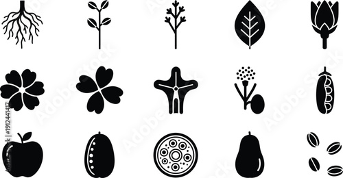 A collection of monochrome icons illustrating various parts and stages of a plant's life cycle.