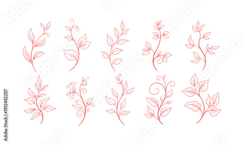Take a look at this collection of vines and shoots, set against a white background. The line art style is quite appealing. These beautifully stylized plant silhouettes can be used for logos, eco.