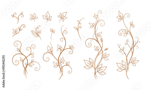 Here’s a collection of vines and shoots, isolated on a white background. The line art style really stands out. These lovely plant silhouettes are ideal for logos, eco designs
