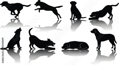 Silhouettes of Dogs in Various Poses.