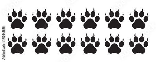 Animal footprints set with claws for wildlife tracking and hunting signs isolated on white background art