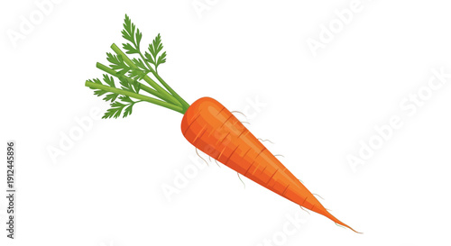 Fresh Orange Carrot with Green Leaves.