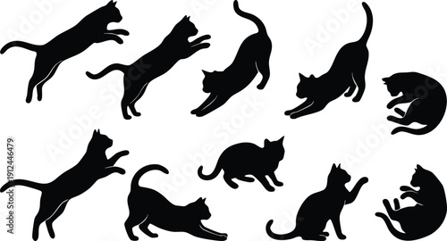 Multiple Black Cats in Various Poses Silhouette.