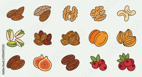 Assorted Nuts and Dried Fruits Illustration.