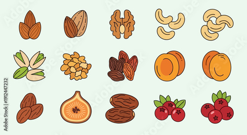 Assorted Nuts and Dried Fruits Illustration.