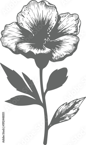 described features a detailed black and white sketch of a flower, characterized by its five petals that form the flower head. This design captures the delicate beauty of the flower, with each petal 