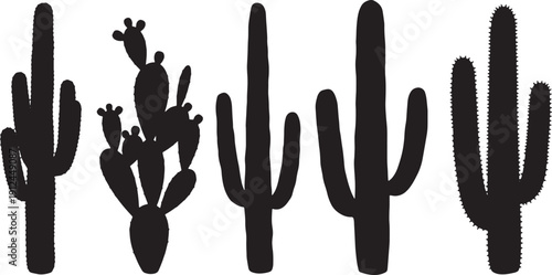 Arid Cactus Plant Elements for Dry Landscapes