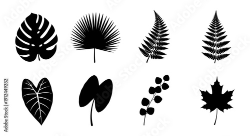collection of diverse botanical leaf silhouettes featuring tropical monstera palm fern and maple foliage perfect for nature designs.