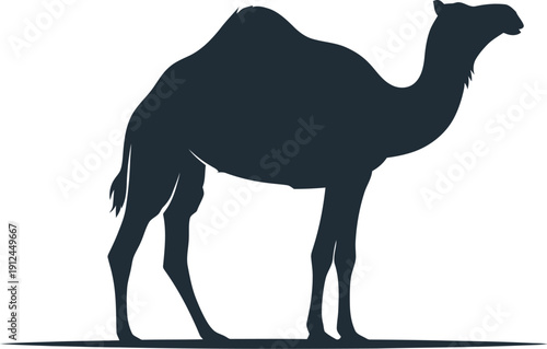 Dark navy silhouette of a standing dromedary camel clearly displays its distinct hump against a plain white background.