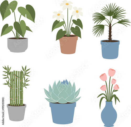 Minimal flat vector houseplant illustration set featuring potted indoor plants, flowers, succulents and bamboo, perfect for home decor, branding, posters and modern design projects