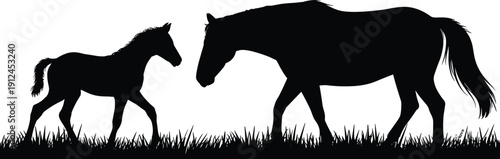 Horse and Foal Silhouette Walking on Grass, Mother and Baby Equine Animal Scene, Farm and Nature Illustration Isolated on White Background