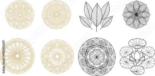 Decorative mandala and floral ornament set with botanical leaves and intricate circular line art vector designs