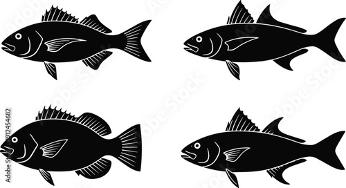 Fish silhouettes with distinct fin shapes and body contours, vector illustration for marine life, taxonomy, educational design, aquatic themes
