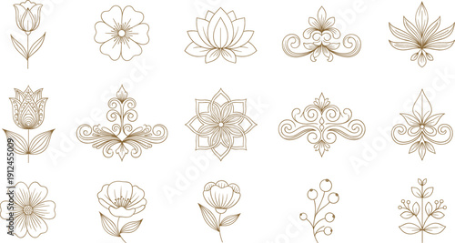 Elegant floral ornament icon set with decorative botanical flowers and vintage symmetrical line art vector designs