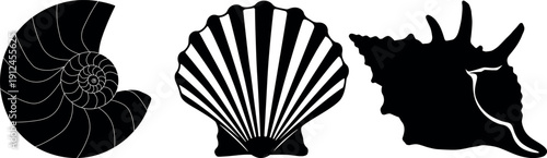 Sea shell silhouette set with nautilus scallop and conch for beach theme