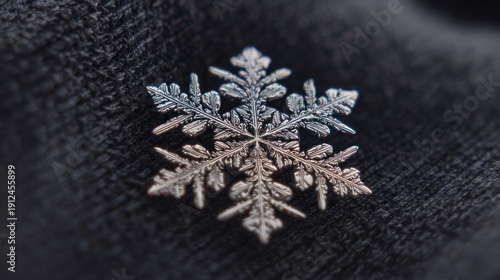 Detailed snowflake on dark fabric (2)