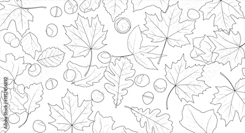 Autumn Leaves and Nuts on Forest Ground – Rustic Fall Nature Landscape Element