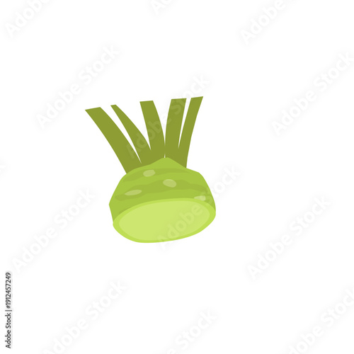 Illustration of wasabi root. Wasabi plant. Flat design of wasabi root. Wasabi plant 