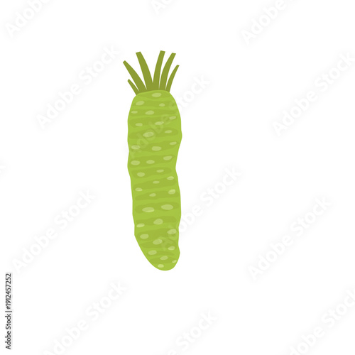 Illustration of wasabi root. Wasabi plant. Flat design of wasabi root. Wasabi plant 