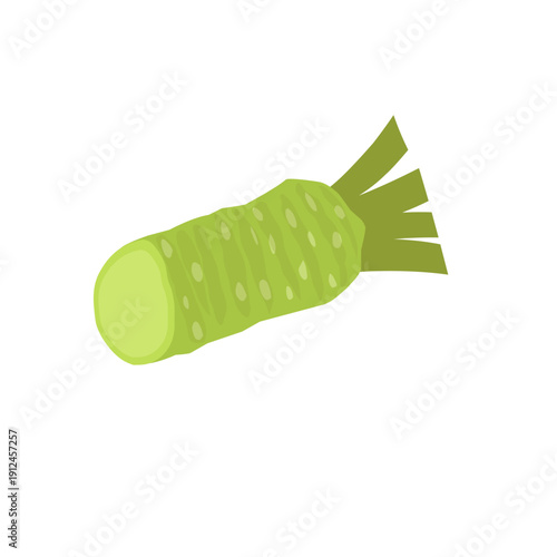 Illustration of wasabi root. Wasabi plant. Flat design of wasabi root. Wasabi plant 