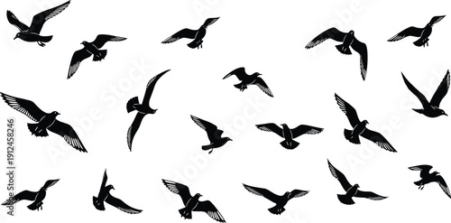 Flying bird silhouettes, avian motion patterns, stylized illustration, minimal design, wing positions, vector art, wildlife graphic design