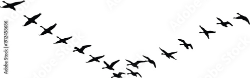 Black silhouettes of birds flying in V‑shape formation, migratory flock vector illustration, wildlife nature design, aerodynamics flight theme concept