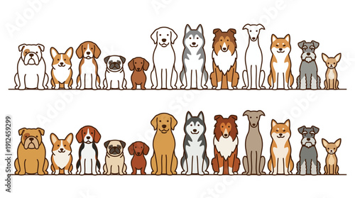 Diverse lineup of dog breeds standing in a row against a clean white background